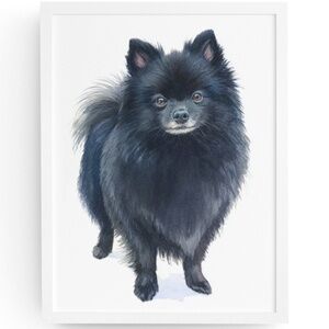 Watercolor Black Pomeranian Dog Portrait Art Print – Unframed Fine Art Poster
